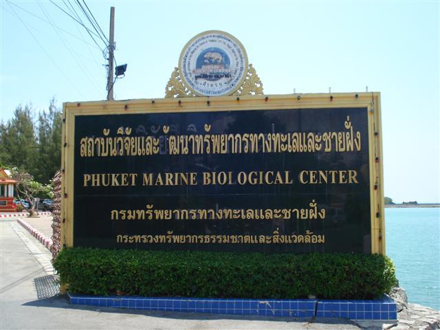 DSC02283 (Small).JPG